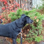 Photo from Safa’s gallery