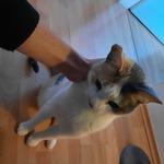 Photo from Safa’s gallery