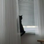 Photo from Safa’s gallery