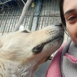 Photo from Safa’s gallery