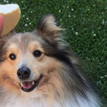 Fotka od hlídačky Pavlína 