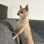 Fotka od hlídačky Pavlína 