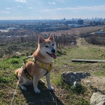 Fotka od hlídačky Bianca 