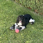 Photo from Sabina’s gallery