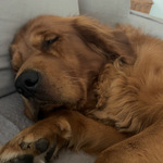 Photo from Sabina’s gallery