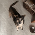 Photo from Sabina’s gallery