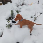 Photo from Zuzana’s gallery