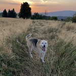 Photo from Lucia’s gallery