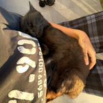 Photo from Lucia’s gallery