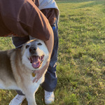 Photo from Lucia’s gallery