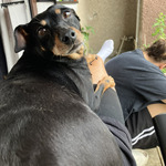 Photo from Lucia’s gallery