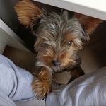 Photo from Radka’s gallery