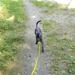 Photo from Radka’s gallery