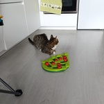 Photo from Radka’s gallery