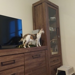 Photo from Radka’s gallery