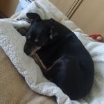 Photo from Radka’s gallery