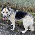 Fotka od hlídačky Bronislava 