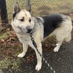 Fotka od hlídačky Bronislava 