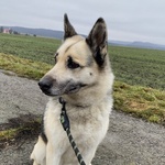 Fotka od hlídačky Bronislava 