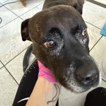 Fotka od hlídačky Natália 