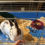 Fotka od hlídačky Natália 