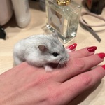 Fotka od hlídačky Natália 