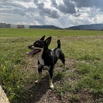 Fotka od hlídačky Natália 