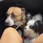 Photo from Paulína’s gallery