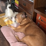 Photo from Paulína’s gallery