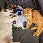 Fotka od hlídačky Mária 