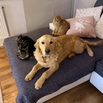 Fotka od hlídačky Mária 