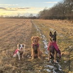 Photo from Klára’s gallery