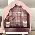 Photo from Klára’s gallery