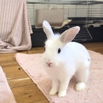 Photo from Klára’s gallery