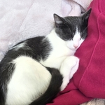 Photo from Klára’s gallery