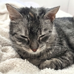 Photo from Klára’s gallery