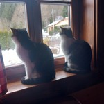 Fotka od hlídačky Daniela 