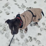 Fotka od hlídačky Kristína 