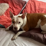 Photo from Martina’s gallery