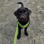 Photo from Martina’s gallery