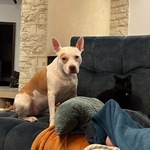 Photo from Martina’s gallery