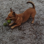 Fotka od hlídačky Martina 