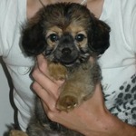 Fotka od hlídačky Martina 