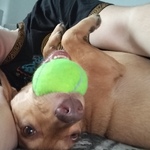 Fotka od hlídačky Martina 