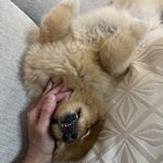 Photo from Ján’s gallery