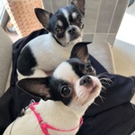 Photo from Ján’s gallery