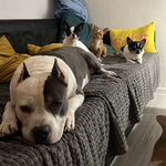 Photo from Ján’s gallery