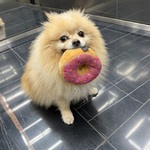 Fotka od hlídačky Sandra 