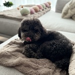 Fotka od hlídačky Sandra 