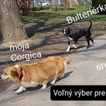 Photo from Marína’s gallery